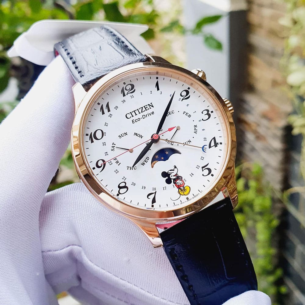 Citizen AP1053 15W 2