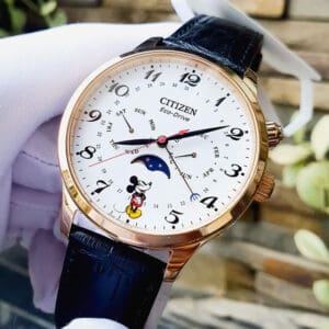 Citizen AP1053 15W 6
