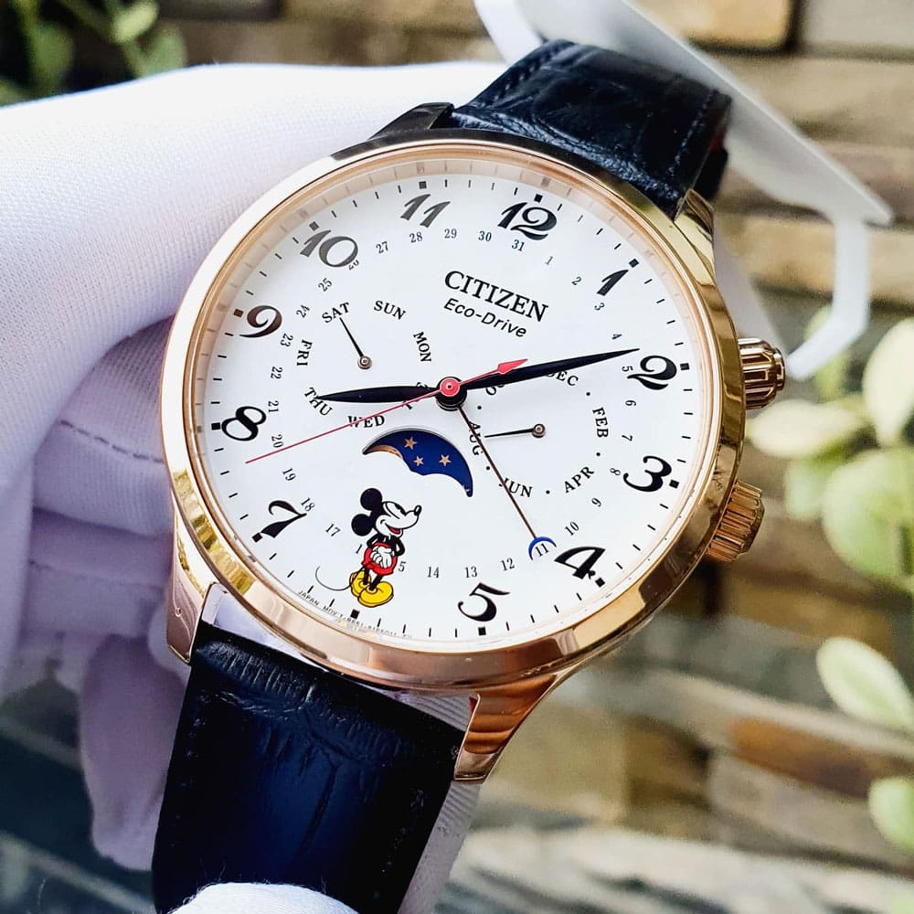 Citizen AP1053 15W 6