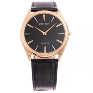 Citizen AR3073 06E 3