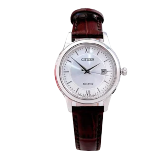 Citizen FE1087 28A (6)