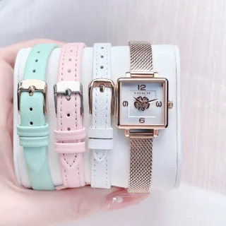 Coach (2)
