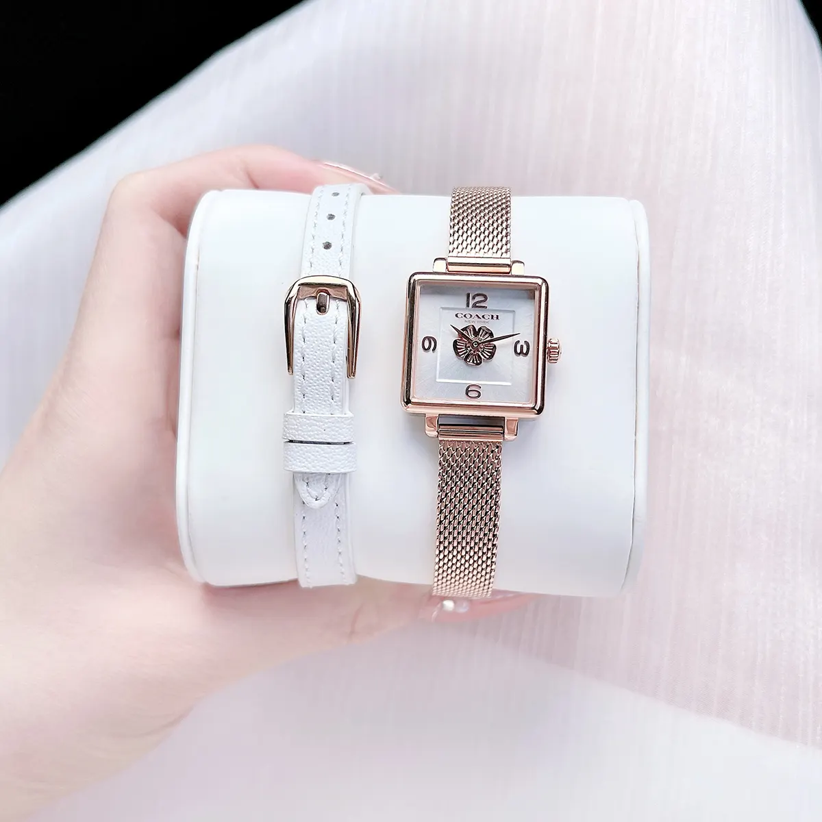 Coach (5)