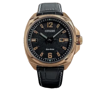 Citizen AW1723 02E (2)