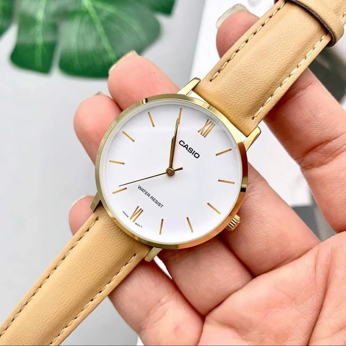 Casio LTP VT01L (5)