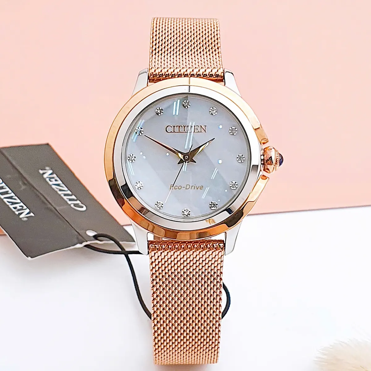 Citizen Eco Drive EM0796 75D (5)
