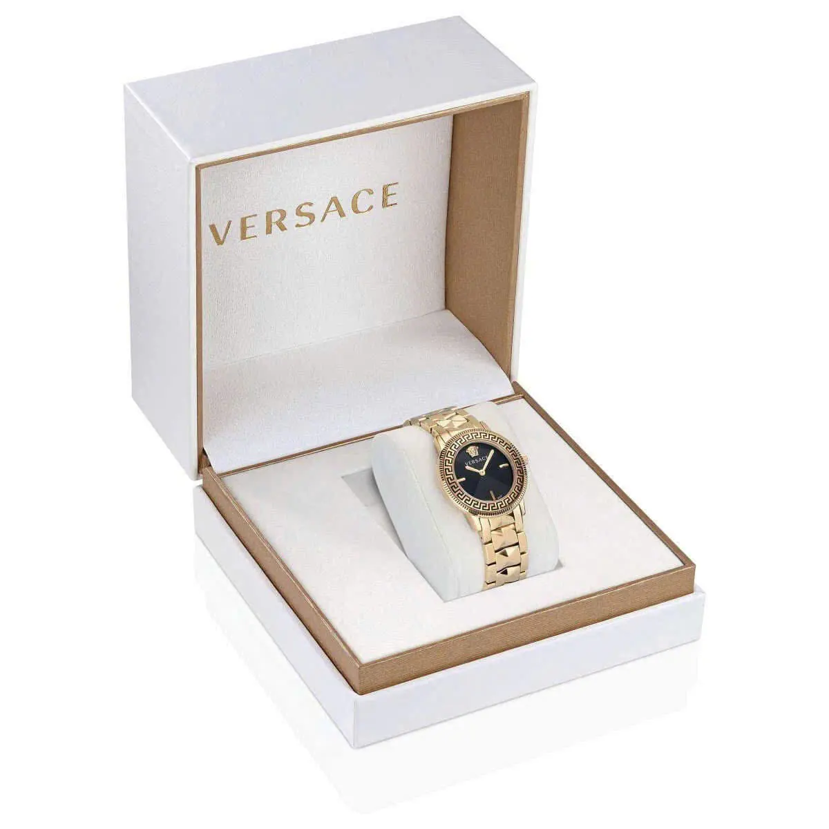 Versace V Tribute Watch VE2P00622 (5)