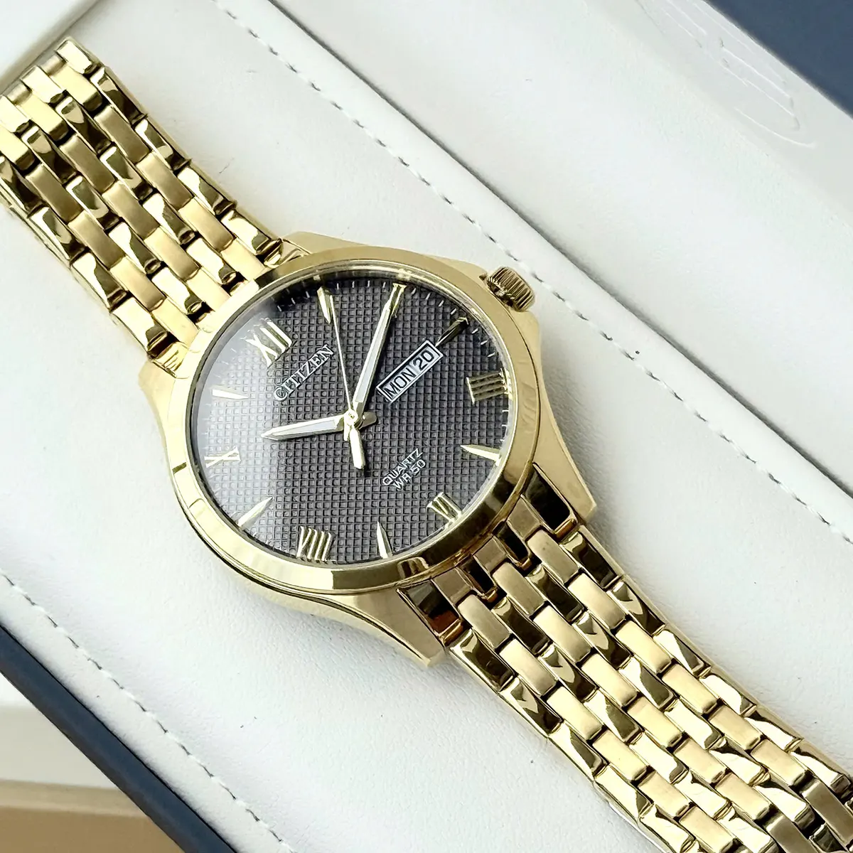 Citizen Quartz BF2022 55H (5)