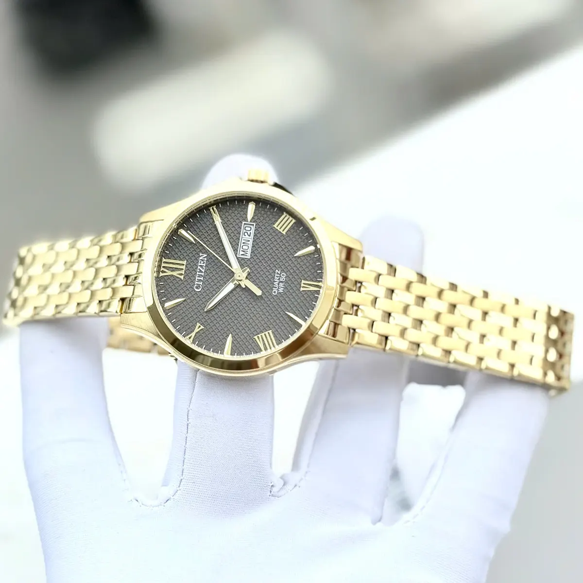 Citizen Quartz BF2022 55H (6)