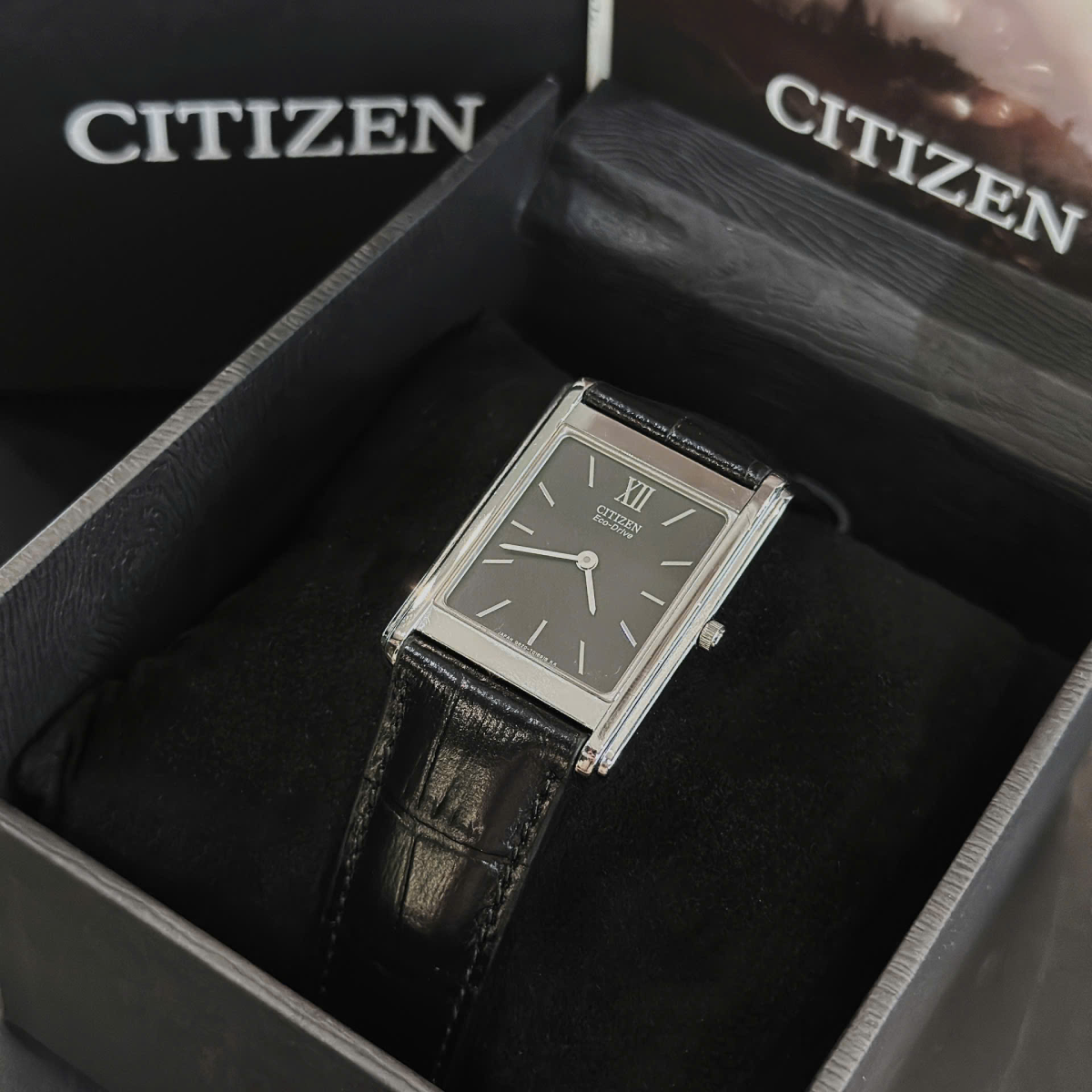 citizen tank (2)